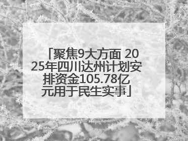 聚焦9大方面 2025年四川达州计划安排资金105.78亿元用于民生实事