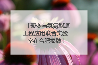 聚变与氢氨能源工程应用联合实验室在合肥揭牌