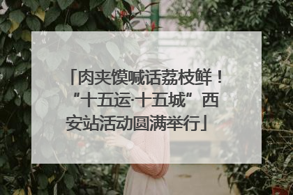 肉夹馍喊话荔枝鲜！“十五运·十五城”西安站活动圆满举行