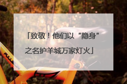 致敬！他们以“隐身”之名护羊城万家灯火