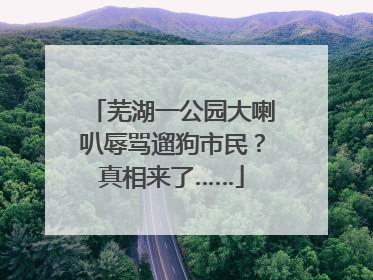芜湖一公园大喇叭辱骂遛狗市民？真相来了……