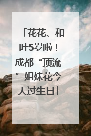 花花、和叶5岁啦！成都“顶流”姐妹花今天过生日