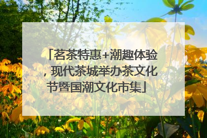 茗茶特惠+潮趣体验，现代茶城举办茶文化节暨国潮文化市集