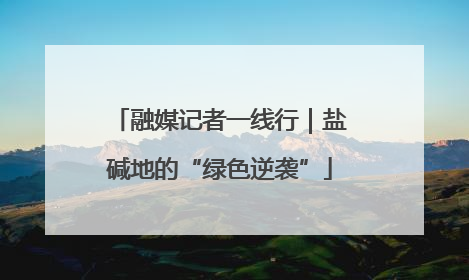 融媒记者一线行｜盐碱地的“绿色逆袭”