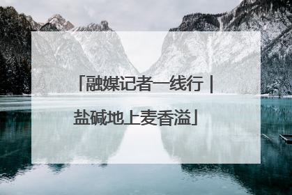 融媒记者一线行｜盐碱地上麦香溢