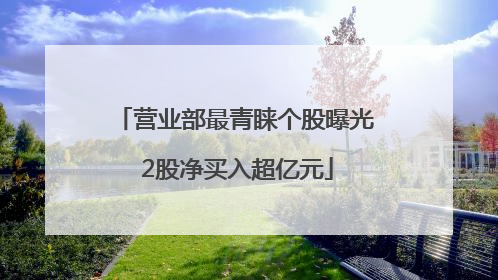 营业部最青睐个股曝光 2股净买入超亿元