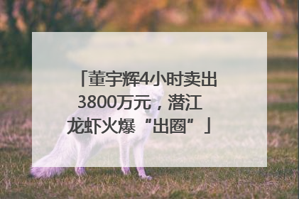 董宇辉4小时卖出3800万元，潜江龙虾火爆“出圈”