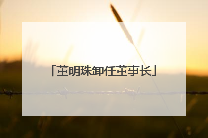 董明珠卸任董事长