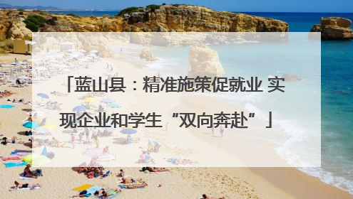 蓝山县：精准施策促就业 实现企业和学生“双向奔赴”