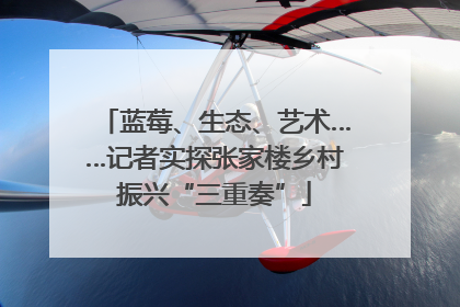 蓝莓、生态、艺术……记者实探张家楼乡村振兴“三重奏”