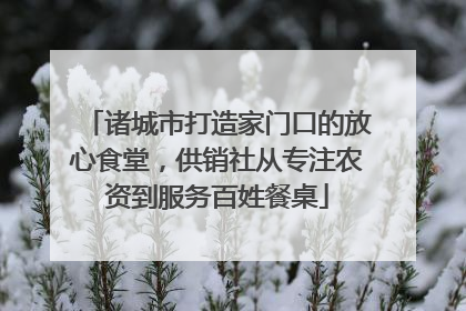 诸城市打造家门口的放心食堂，供销社从专注农资到服务百姓餐桌