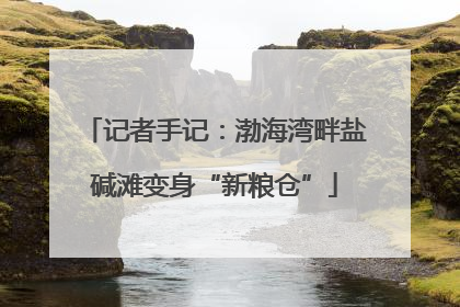 记者手记：渤海湾畔盐碱滩变身“新粮仓”