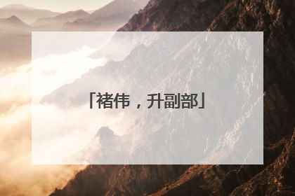 褚伟，升副部
