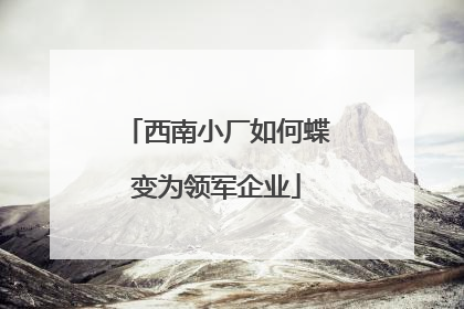 西南小厂如何蝶变为领军企业