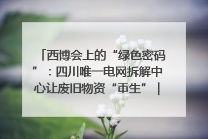 西博会上的“绿色密码”：四川唯一电网拆解中心让废旧物资“重生”｜西博寻“新”记