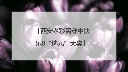 西安老彩民守中快乐8“选九”大奖
