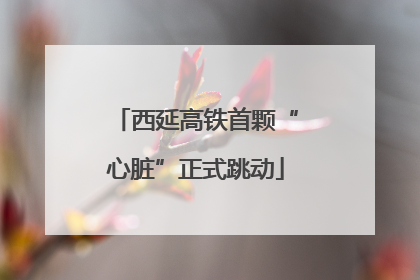 西延高铁首颗“心脏”正式跳动