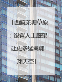 西藏羌塘草原：设置人工鹰架 让更多猛禽翱翔天空