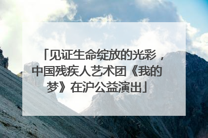 见证生命绽放的光彩，中国残疾人艺术团《我的梦》在沪公益演出
