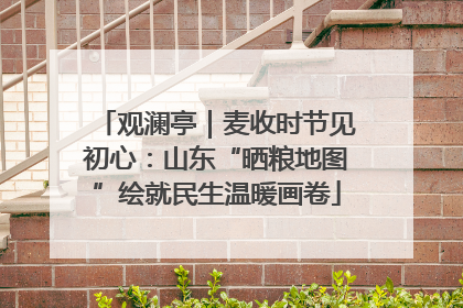观澜亭｜麦收时节见初心：山东“晒粮地图”绘就民生温暖画卷