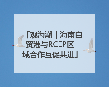 观海潮｜海南自贸港与RCEP区域合作互促共进