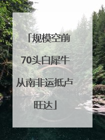 规模空前 70头白犀牛从南非运抵卢旺达