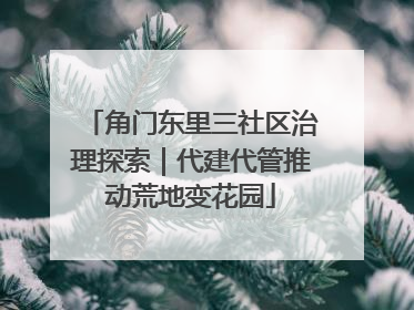 角门东里三社区治理探索｜代建代管推动荒地变花园