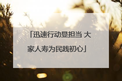迅速行动显担当 大家人寿为民践初心