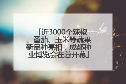 近3000个辣椒、番茄、玉米等蔬果新品种亮相，成都种业博览会在蓉开幕