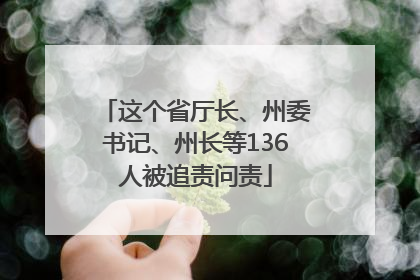 这个省厅长、州委书记、州长等136人被追责问责