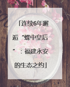 连续6年邂逅“蝶中皇后”：福建永安的生态之约