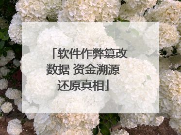 软件作弊篡改数据 资金溯源还原真相