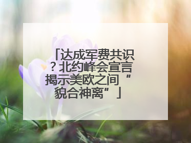 达成军费共识？北约峰会宣言揭示美欧之间“貌合神离”