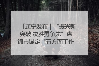 辽宁发布｜“振兴新突破 决胜勇争先”盘锦市锚定“五方面工作”力争全年地区生产总值增长5.5%左右