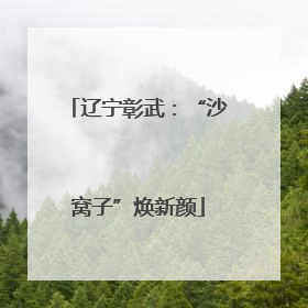 辽宁彰武：“沙窝子”焕新颜