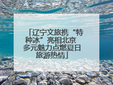 辽宁文旅携“特种冰”亮相北京 多元魅力点燃夏日旅游热情