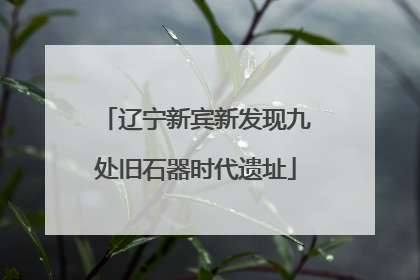 辽宁新宾新发现九处旧石器时代遗址