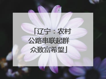 辽宁：农村公路串联起群众致富希望