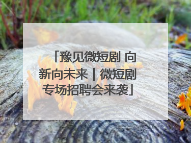 豫见微短剧 向新向未来｜微短剧专场招聘会来袭