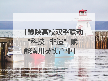 豫陕高校双擎联动 “科技+非遗”赋能潢川芡实产业