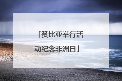 赞比亚举行活动纪念非洲日