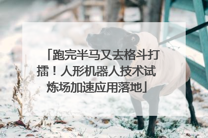 跑完半马又去格斗打擂！人形机器人技术试炼场加速应用落地