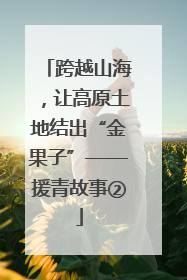 跨越山海，让高原土地结出“金果子”——援青故事②