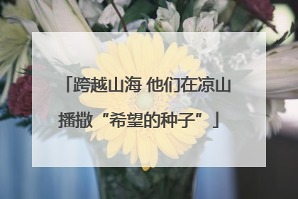 跨越山海 他们在凉山播撒“希望的种子”