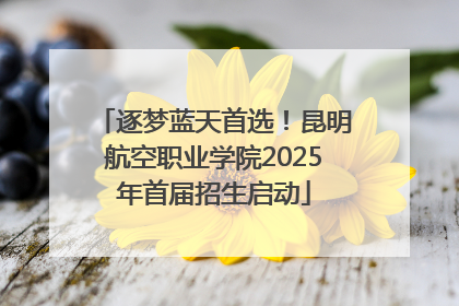 逐梦蓝天首选！昆明航空职业学院2025年首届招生启动
