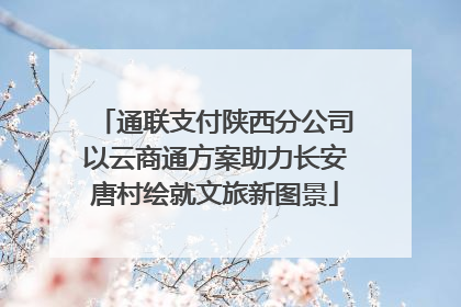 通联支付陕西分公司以云商通方案助力长安唐村绘就文旅新图景