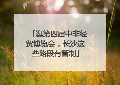 逛第四届中非经贸博览会，长沙这些路段有管制