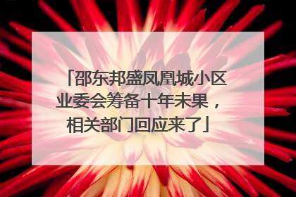 邵东邦盛凤凰城小区业委会筹备十年未果，相关部门回应来了