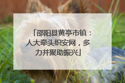 邵阳县黄亭市镇：人大牵头织安网，多力并聚助振兴