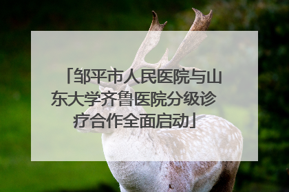 邹平市人民医院与山东大学齐鲁医院分级诊疗合作全面启动
